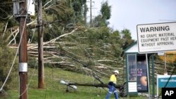 Tiang listrik dan pohon tumbang akibat angin kencang di kawasan Lilydale, Melbourne, Australia, Kamis, 10 Juni 2021. (James Ross/AAP Image via AP)