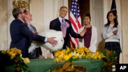 President Barack Obama, with daughters Malia, far right, and Sasha, carries on the Thanksgiving tradition of saving a turkey from the dinner table by "pardoning" a bird named Cheese in the Grand Foyer of the White House, Nov. 26, 2014. 