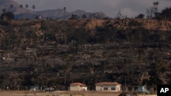 Homes and trees destroyed by the Palisades Fire are seen along the coastline on Jan. 17, 2025, in the Pacific Palisades neighborhood of Los Angeles.