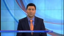 برزیل- آلمان