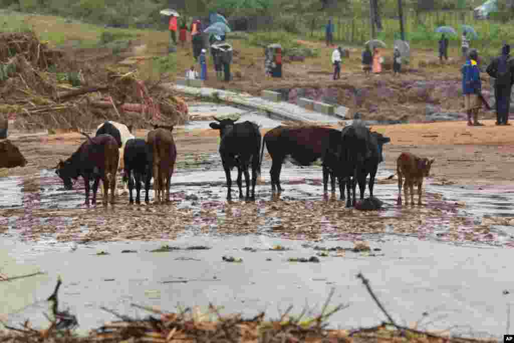 Cyclone Idai