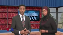 Qubanaha VOA, October 4, 2013