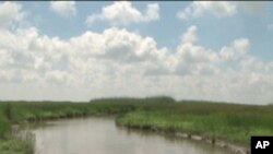 การพยายามอุดบ่อน้ำมัน ที่มีน้ำมันดิบรั่วทะลักออกมาสู่อ่าวเมกซิโก นับล้านๆ แกลลอนไม่ได้ผล