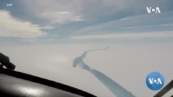 Huge Iceberg Floats toward South Georgia