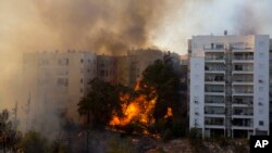 Kebakaran hutan di kawasan Haifa, Israel, 24 November 2016 (AP Photo/Ariel Schalit)