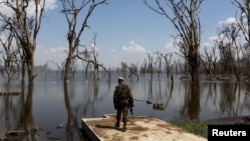 FILE - A park ranger surveys damage caused by flooding at Lake Nakuru National Park, Kenya, August 18, 2015. The Park is home to some of the world's most majestic wildlife including lions, rhinos, zebras and flamingos. 