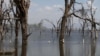 Ndege yazama Ziwa Nakuru Kenya