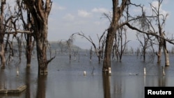 Ziwa Nakuru