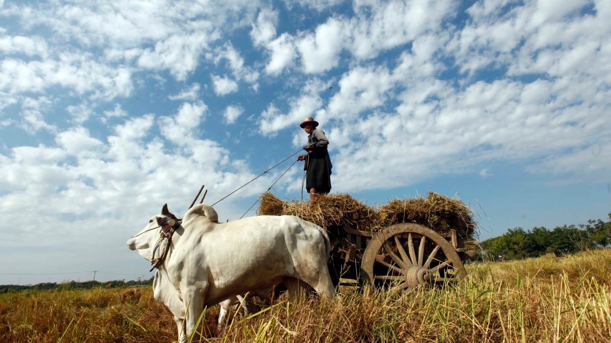  Make Hay While The Sun Shines 