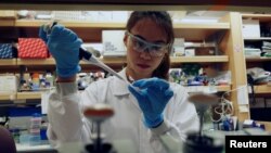 A researcher works in a lab at the Duke-NUS Medical School, which is developing a way to track genetic changes that speed testing of vaccines against the coronavirus disease (COVID-19), in Singapore March 23, 2020. Picture taken March 23, 2020…