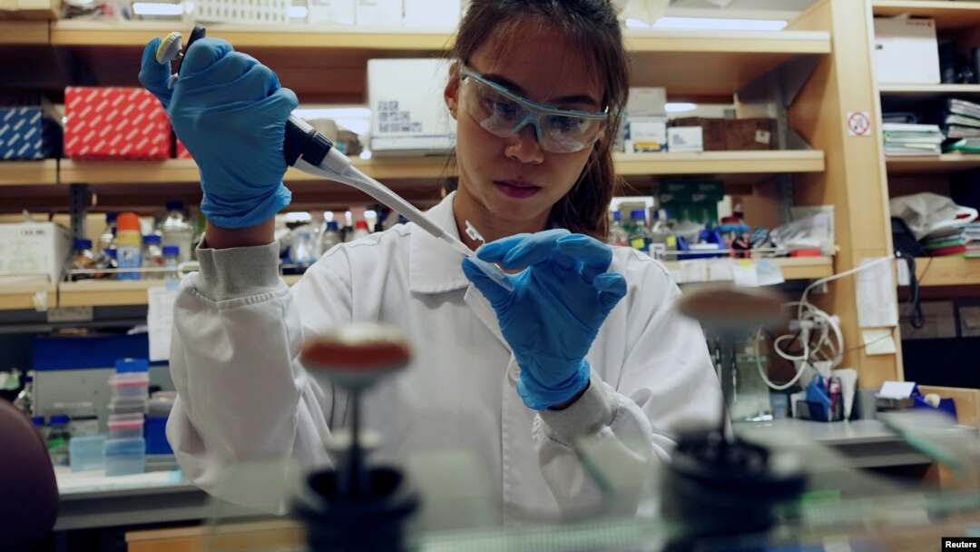 A researcher works in a lab at the Duke-NUS Medical School, which is developing a way to track genetic changes that speed testing of vaccines against the coronavirus disease (COVID-19), in Singapore March 23, 2020. Picture taken March 23, 2020.