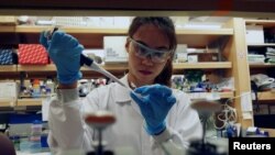 A researcher works in a lab at the Duke-NUS Medical School, which is developing a way to track genetic changes that speed testing of vaccines against COVID-19, in Singapore March 23, 2020.