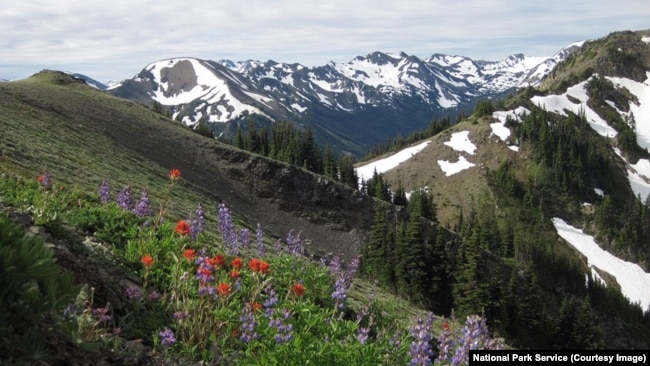 Hurricane Ridge