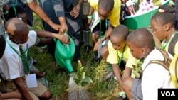 A young delegate plants a seedling at the end of the International Children’s Climate Change Conference, Kampala, Uganda, July 12, 2014. (Hilary Heuler / VOA News)