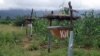 Save the Elephants: Beehive Fences Help Protect Small-scale Farms from Crop Raids