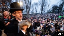Американський бабак прогнозує ще шість тижнів зими