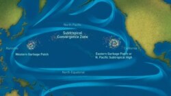 Map showing the Great Pacific Garbage Patch, in the Pacific Ocean between California and Hawaii. The world’s largest ocean garbage patch is over 1.5 million square kilometers. (Courtesy of National Oceanic and Atmospheric Administration)