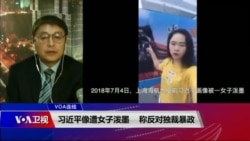 VOA连线(叶兵):习近平像遭女子泼墨 称反对独裁暴政
