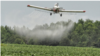 El gobierno colombiano aspira a reiniciar en los próximos días la aspersión aérea con glifosato a los cultivos ilícitos en el país.[Fuente: Policía Antinarcóticos]