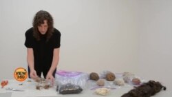 کرونا وائرس میں خوب صورتی تلاش کرنے والی آرٹسٹ