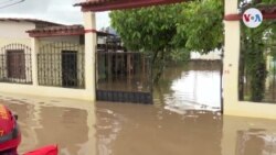 Devastación en la agricultura guatemalteca por el paso de la tormenta Eta