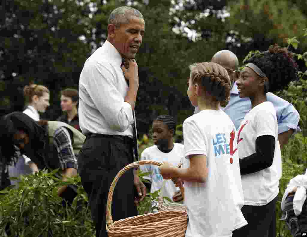 President Barack Obama loosens his tie as he visits the first lady Michelle Obama&#39;s White House Kitchen Garden harvest on the South Lawn White House in Washington, Oct. 6, 2016.