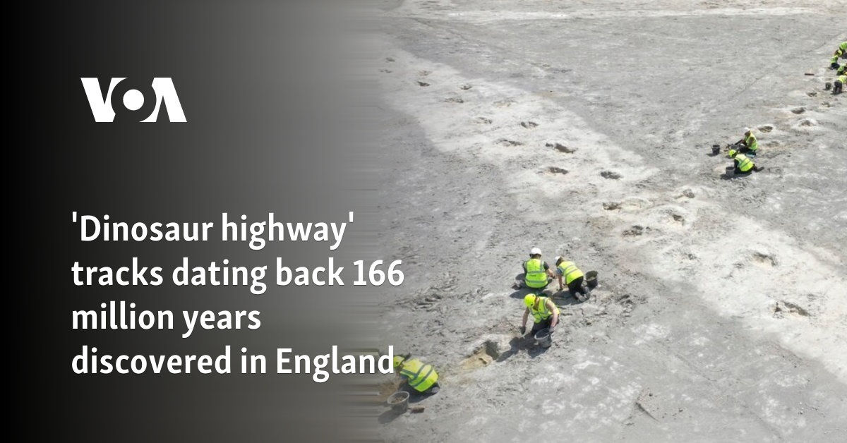 ‘Dinosaur highway’ tracks dating back 166 million years discovered in England