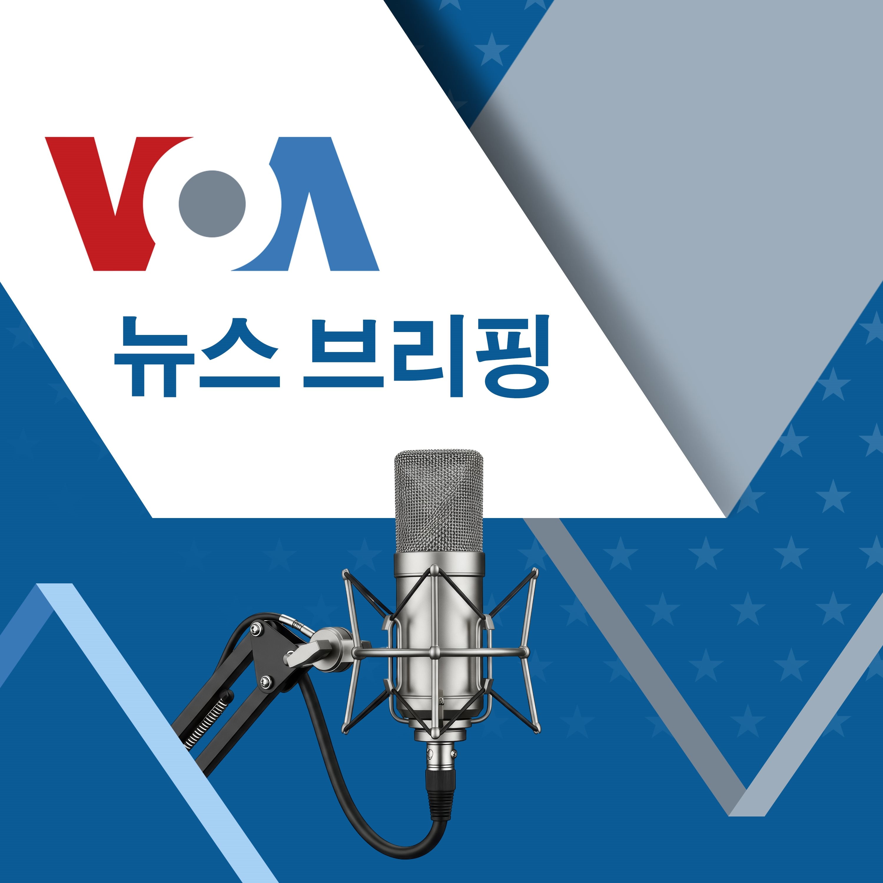 VOA 뉴스 브리핑 - Voice of America podcast artwork