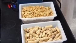 Babies and Peanuts