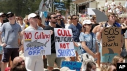 People hold placards during a protest against Western Australia's state government's shark killing policy on Manly beach in Sydney, Australia, Feb. 1, 2014.