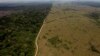 Germany, Britain Inject $153M in Amazon Climate Change Fight