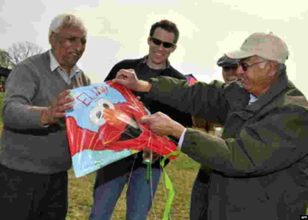 Змеи над городом… воздушные