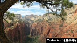 A view from the top of Angels Landing rock