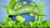عالمی یوم ماحولیات: لمبی زندگی پانے کے لیے فضائی آلودگی کا خاتمہ ضروری
