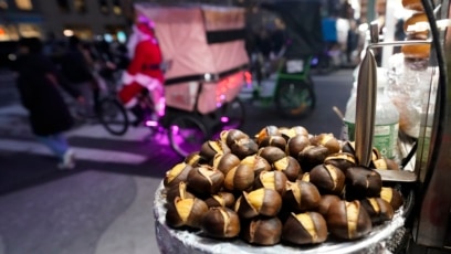 Researchers Hope to Bring Back American Chestnuts