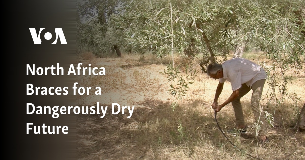 North Africa Braces for a Dangerously Dry Future