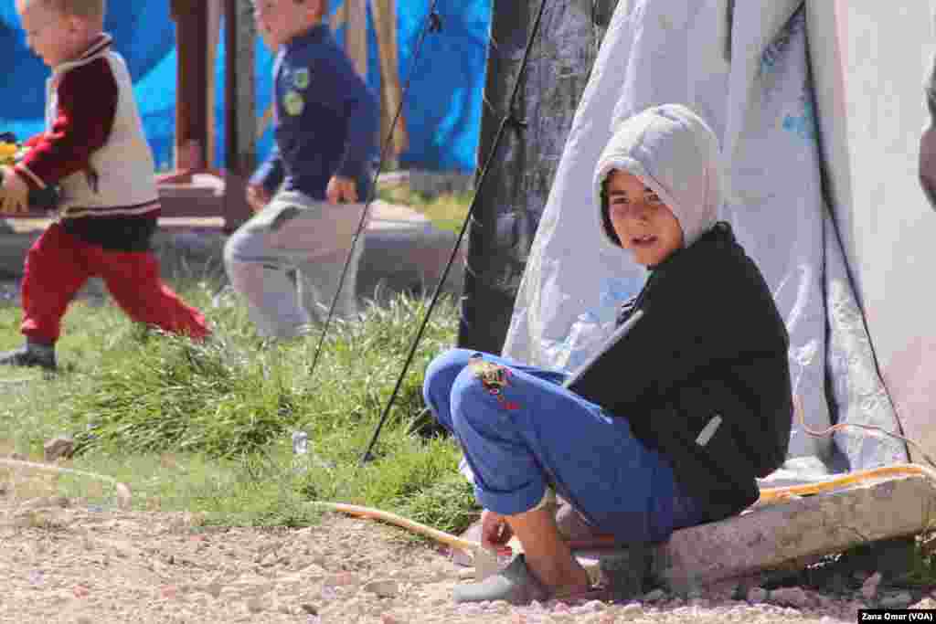 Kampa Roj li Her&#234;ma R&#234;vebiriya Xweser li Bakur &#219; Rojhilat&#234; S&#251;riy&#234; S&#251;riy&#234;