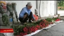 Truyền hình vệ tinh VOA 25/10/2017