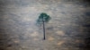 FILE - An aerial view shows a deforested plot of the Amazon near Porto Velho, Rondonia State, Brazil, Sept. 17, 2019. 