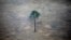 Pemandangan udara menunjukkan sebidang hutan yang gundul di Amazon dekat Porto Velho, Negara Bagian Rondonia, Brazil, 17 September 2019. (Foto: Reuters)