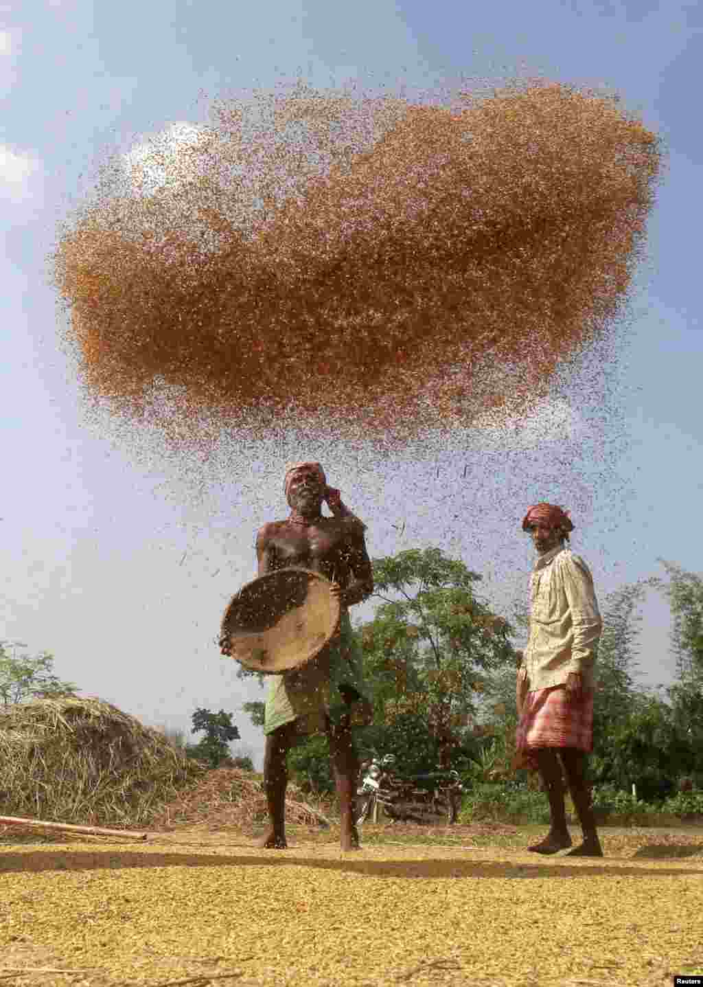 A farmer winnows -- blows air through -- rice paddy crops at a field on the outskirts of Agartala, capital of India&#39;s northeastern state of Tripura.