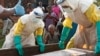 Wabah Ebola di Kongo Masuki Bulan Keenam