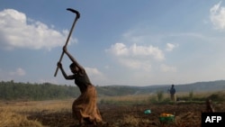 Umwe mu barimyi bo mu Burundi 