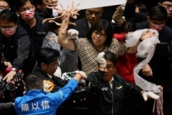 Taiwan lawmakers throw pork intestines at each other during a scuffle in the parliament in Taipei, Taiwan, Nov. 27, 2020.