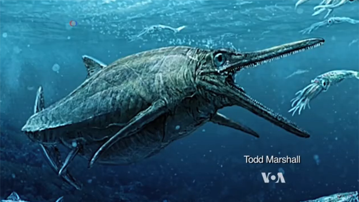 Large Creature Swam the Seas 170 Million Years Ago