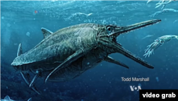 Sea monster swam the seas 170 million years ago