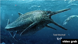 Sea monster swam the seas 170 million years ago