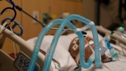 资料照片：在加州洛杉矶普罗维登斯圣十字医疗中心的一名COVID-19患者正插着呼吸机。（2021年11月19日）