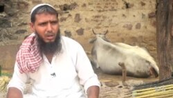 An Indian village fears that deadly attacks by cow vigilantes will threaten their livelihood.