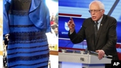 Sen. Bernie Sanders and the Dress